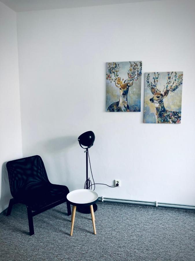 Apartman Krystof Františkovy Lázně المظهر الخارجي الصورة