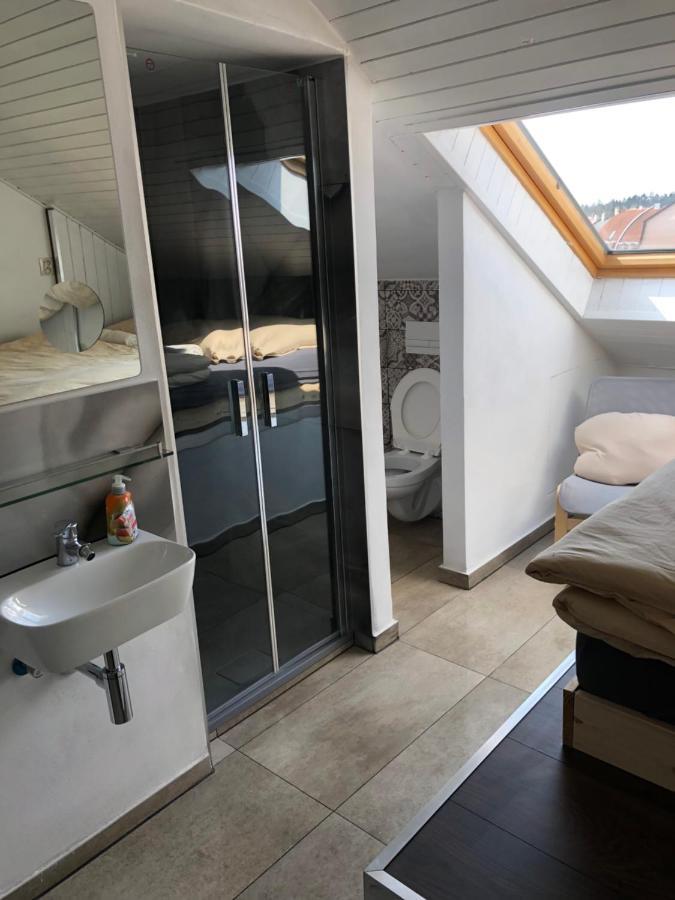 Apartman Krystof Františkovy Lázně المظهر الخارجي الصورة